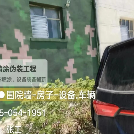 西青数码迷彩漆施工